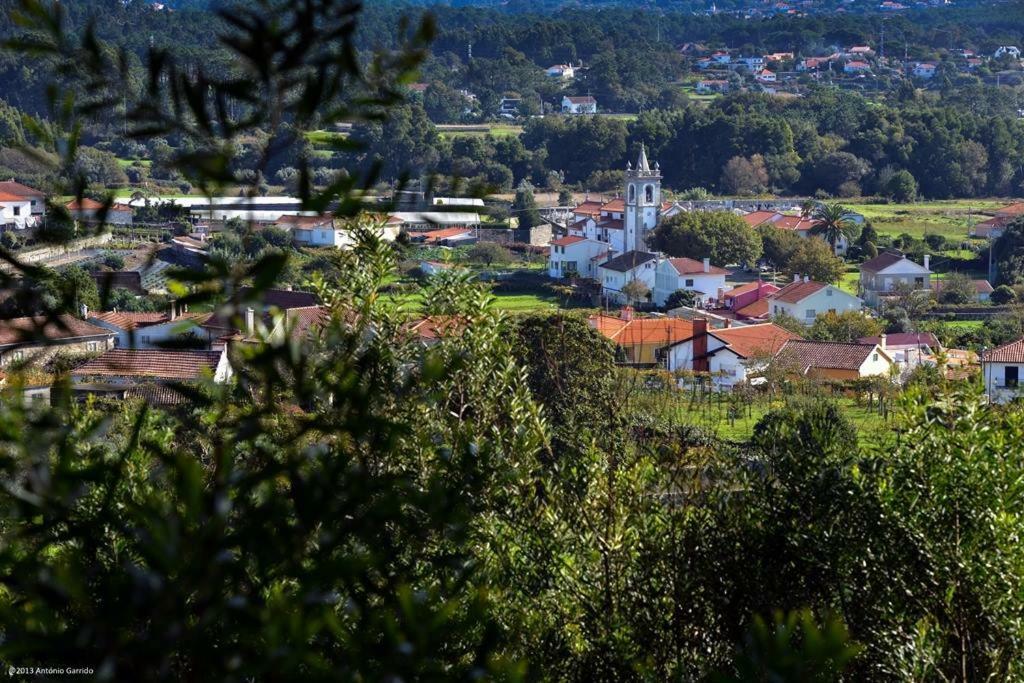Angelas - Casa Do Coberto Vila Praia de Âncora Eksteriør billede